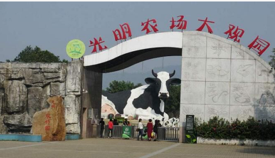 清凉一夏，晨光带你生态游