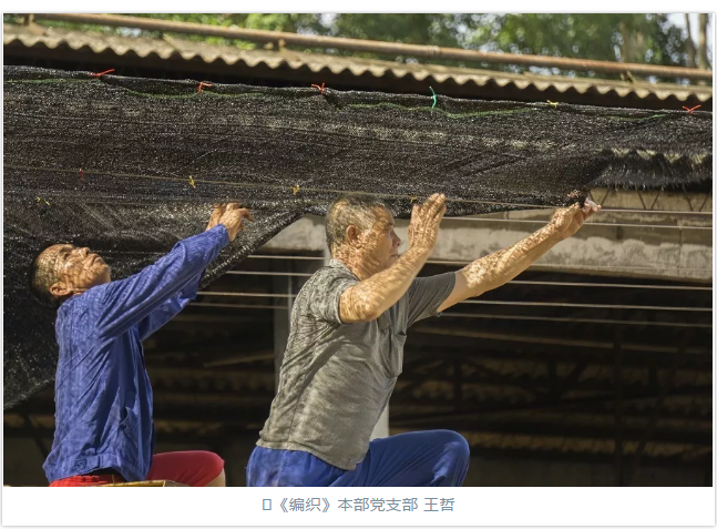 QQ截图20181121113146.png