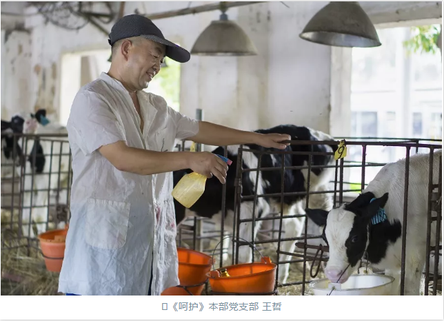 QQ截图20181121113158.png